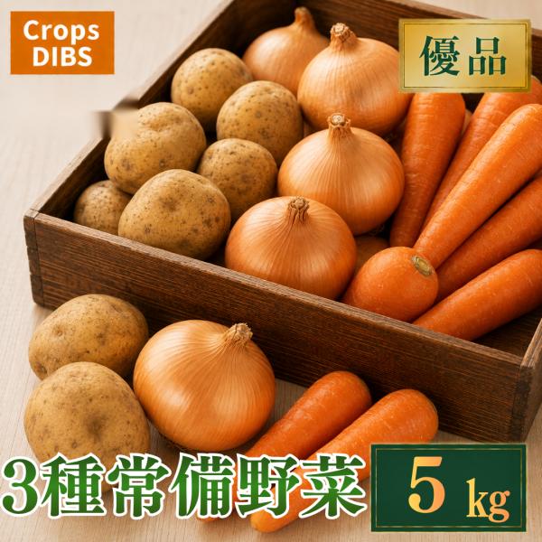 3種常備野菜セット 5kg 野菜詰め合わせ じゃがいも 玉ねぎ 人参 市場直送