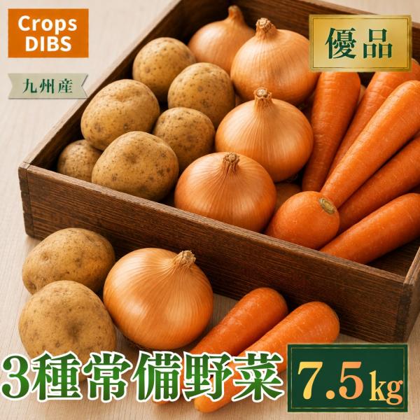 3種常備野菜セット 7.5kg 野菜詰め合わせ じゃがいも 玉ねぎ 人参 市場直送