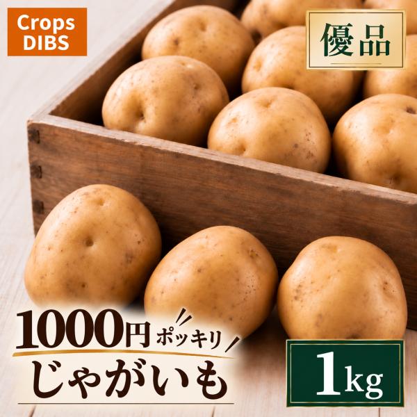 優品 じゃがいも 1kg 馬鈴薯 市場直送 1000円ポッキリ