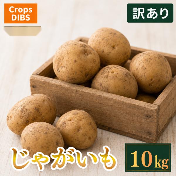 訳あり じゃがいも 10kg 馬鈴薯 市場直送