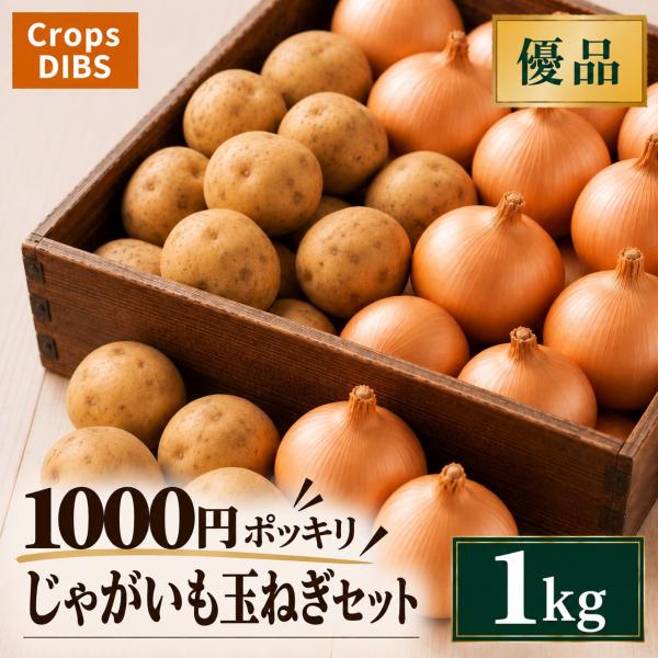 じゃがいも玉ねぎセット 1kg 常備野菜 野菜詰め合わせ 市場直送 1000円ポッキリ
