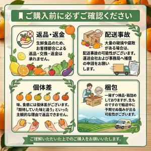 野菜詰め合わせ 九州産訳あり常備野菜セット 5...の詳細画像1
