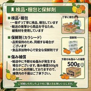 野菜詰め合わせ 九州産訳あり常備野菜セット 5...の詳細画像2