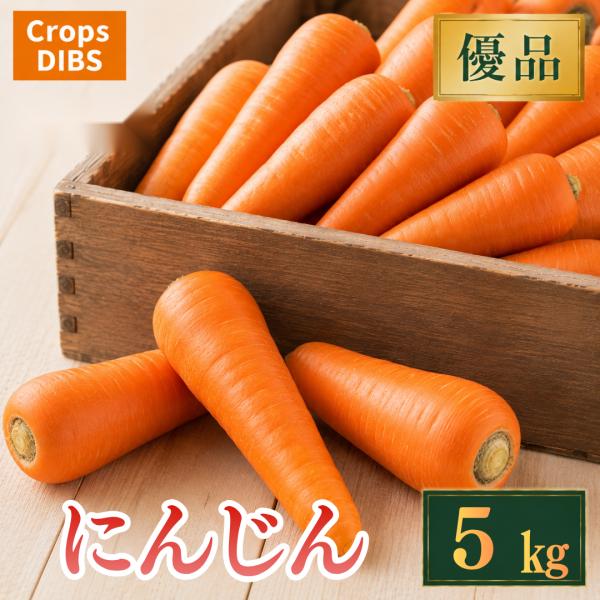 優品 人参 5kg にんじん 市場直送