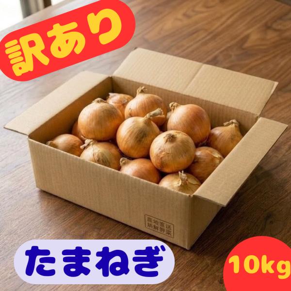 九州産 産地直送 訳あり 玉ねぎ 10kg 送料無料 たまねぎ タマネギ