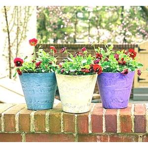 6個入 植木鉢 開店祝い プランター ラウンド型 ベージュ ガーデニング用品 直径13cm 底穴なし アートストーン 園芸