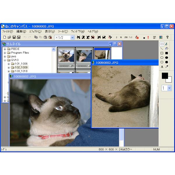 画像変換・レタッチ「ねこのキャンバス」ダウンロード版
