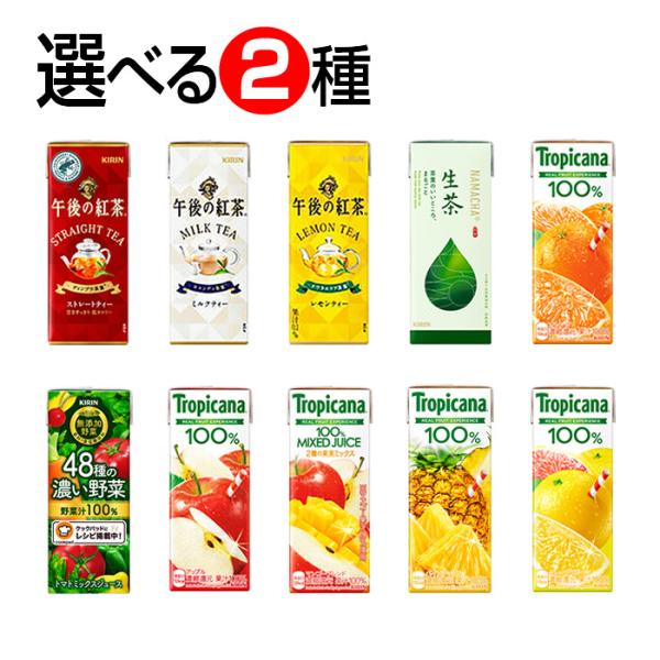 キリン　紙パックジュース　（組み合わせ・2ケースセット／48本）-000008