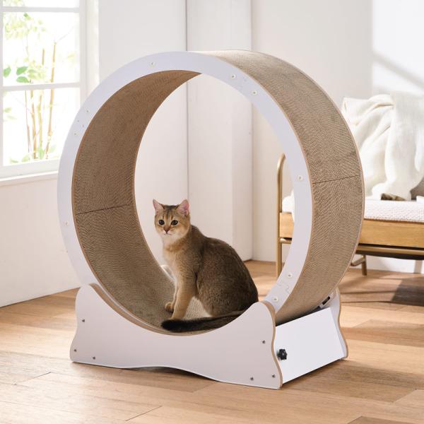 キャットホイール　ホワイト80　【ボンビアルコン】