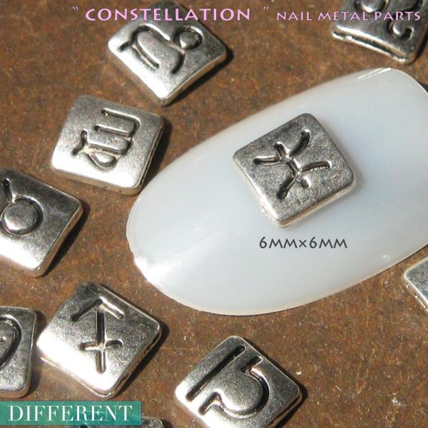 ネイルメタルパーツ 12星座 アンティークシルバー