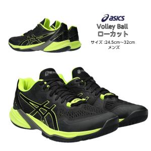 バレーボールシューズ ローカット SKY ELITE FF LO 2 スカイエリート フラッグシップモデル asics アシックス メンズ 1051A064 004 【送料無料】｜dig