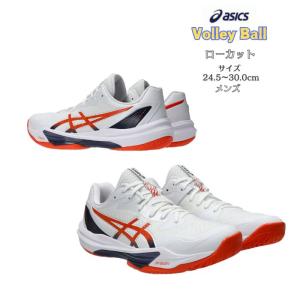 SKY ELITE FF バレーボールシューズ ローカット LO 2 スカイエリート