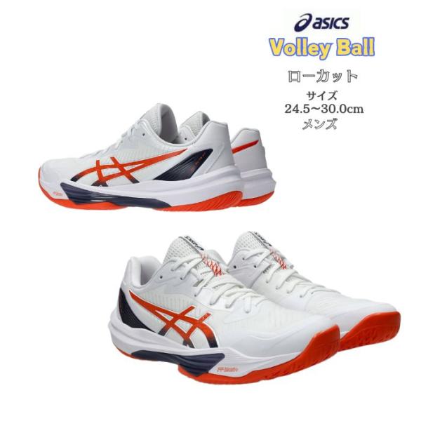 バレーボールシューズ ローカット SKY ELITE FF LO 3 スカイエリート フラッグシップ...