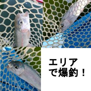 フライ ぶどう虫 フライ 4個セット ニンフフ...の詳細画像4