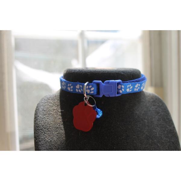 ■犬 猫 首輪；肉球模様『ブルー』+迷子札[名入れ料込み]
