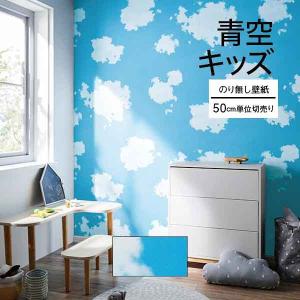 サンゲツ（SANGETSU） TH34979 壁紙 フェイス クロス 空柄 青空 雲