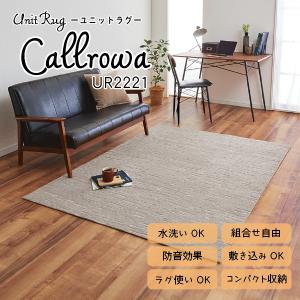 川島織物セルコン Unit Rug ユニットラグ 洗える 消臭 防音 ペットに