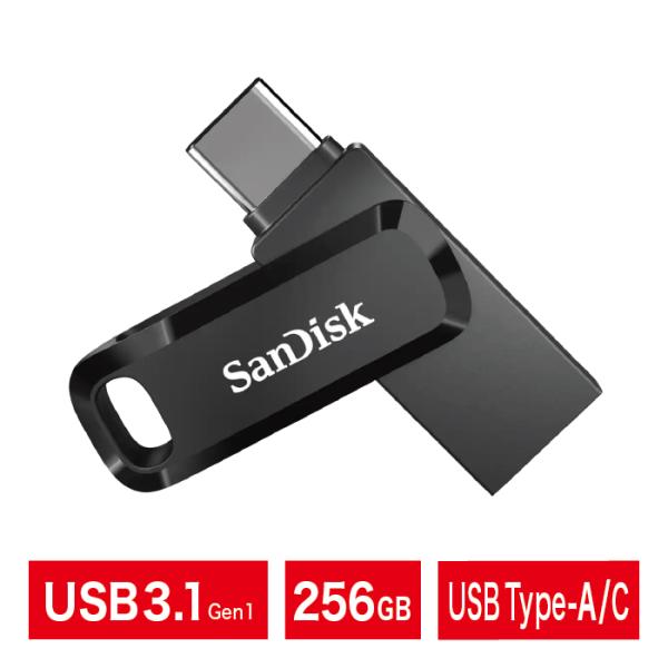 SanDisk｜並行輸入海外パッケージ品｜SDDDC3-256G-G46