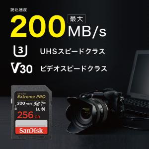 SDカード SDXC 256GB SanDis...の詳細画像1