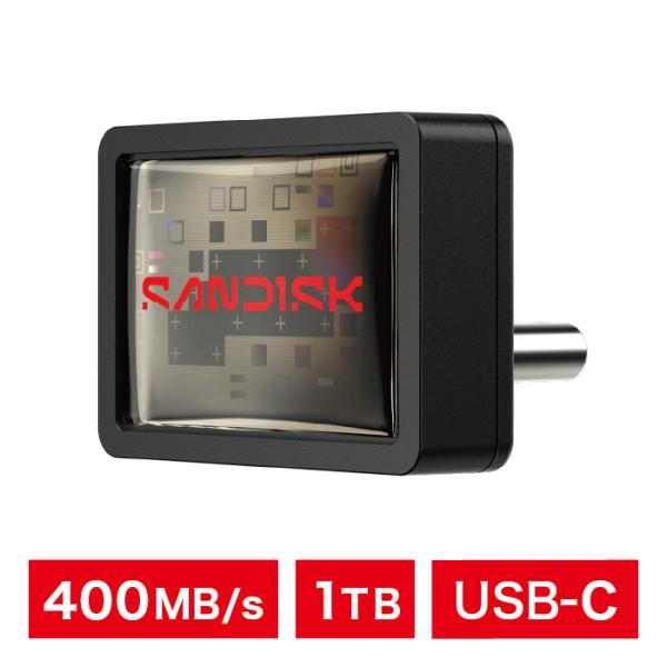 SANDISK Extreme Fit USB-C フラッシュドライブ 1TB サンディスク 読込速...