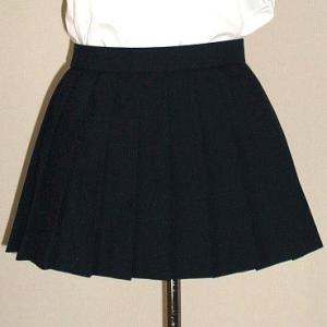 冬紺プリーツスカート スカート丈30cm スクール 学校制服 通学 高校生 