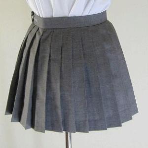 夏NEWグレープリーツスカート、スカート丈30cm/40cm丈 スクール 学校制服 通学 高校生 学...