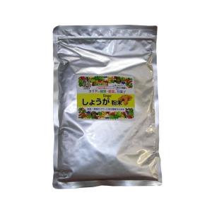 皇漢薬品研究所 『しょうが粉末 220g』 （ご注文後のキャンセルは出来ません） 【北海道・沖縄は別途送料必要】｜digital-wing