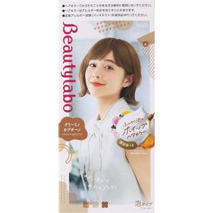 ホーユー ビューティラボ ホイップヘアカラー(泡タイプ) クリーミィカプチーノ（1セット）＜濃厚なホイップ＞【医薬部外品】｜digital-wing