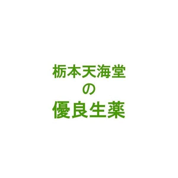 栃本天海堂 紅花末(コウカ末) (中国産・粉末) 500g【健康食品】 (画像と商品はパッケージが異...