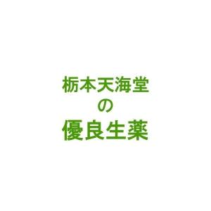 栃本天海堂 霊芝 (レイシ別名：サルノコシカケ、マンネンタケ） (韓国産○切) 100g 【健康食品】 (画像と商品はパッケージが異なります)の商品画像