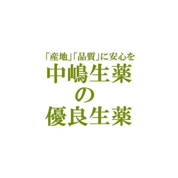 中嶋生薬株式会社 ナカジマ 山椒 500g入 (日本産・生) (サンショウ)