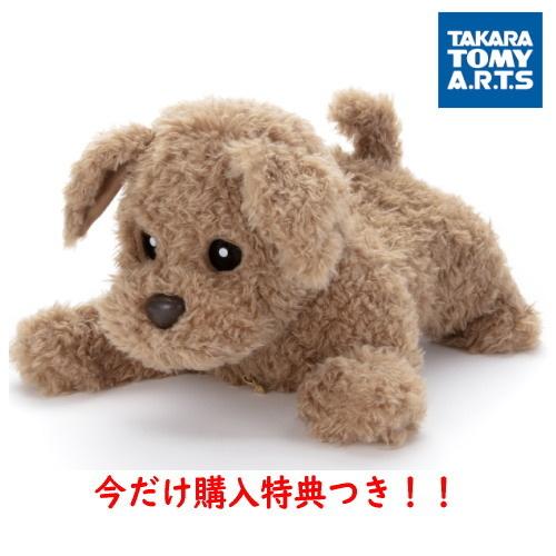数量限定特典！タカラトミーアーツ もっとおりこうダッキー くまの子くーちゃんプレゼント中