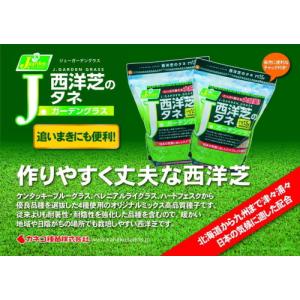 カネコ種苗 西洋芝 Jガーデングラス 1.5L入の詳細画像1