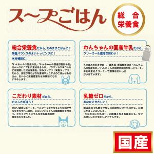 わんちゃんの国産牛乳スープごはん ビーフと緑黄...の詳細画像2