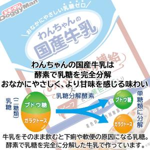 わんちゃんの国産牛乳スープごはん ビーフと緑黄...の詳細画像4