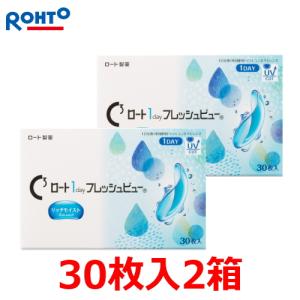コンタクトレンズ 1day ロート ワンデー フレッシュビュー リッチモイスト 1day 1日使い捨て コンタクトレンズ 30枚入 2箱