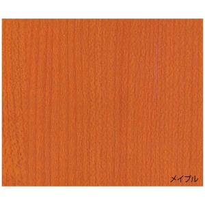 【法人様限定品 代引き不可 送料無料】東邦歯科...の詳細画像1