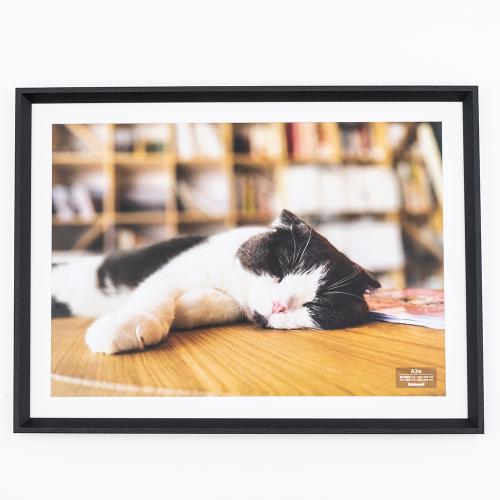 ナカバヤシ　木製写真額 /A3 /ブラック　F-SW-124-D