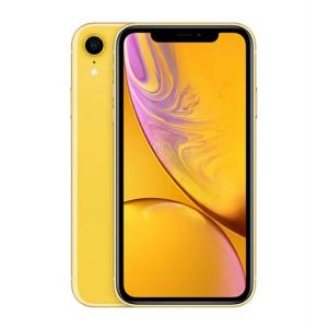 新品 Apple iPhoneXR 256GB 本体  開封済 SIMロック解除済 黄色 イエロー MT0Y2J/A 4549995040654｜digitalisland