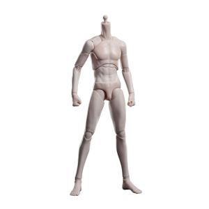 WIND TOYS 1/12スケール 可動フィギュア スーパーモデル女性素体