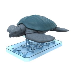 プラノサウルス アーケロン プラモの買取情報