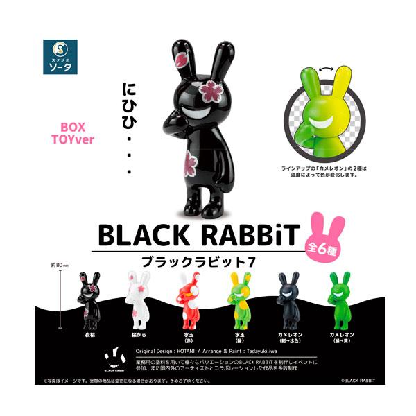 BLACK RABBiT7 ボックストイ版 (1BOX) SO-TA（ソータ） 【9月予約】