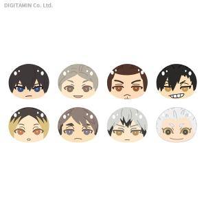 エンスカイ ハイキューの商品一覧 通販 Yahoo ショッピング