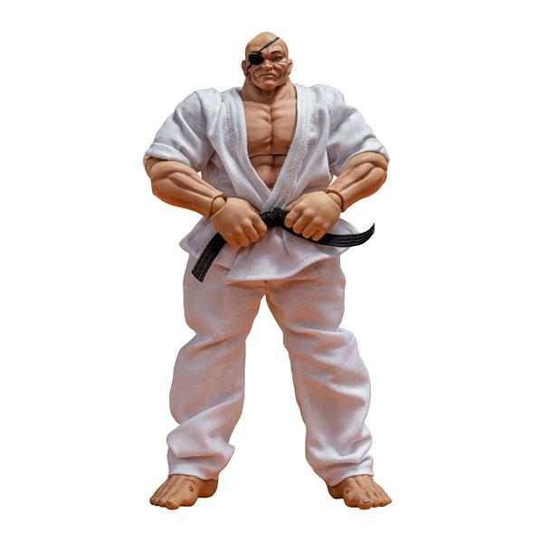 送料無料◆範馬刃牙 アクションフィギュア 愚地独歩 ストーム コレクティブルズ KIBK06 （ZF...