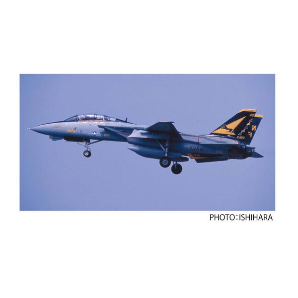 プラッツ/イタレリ 1/48 アメリカ海軍 F-14A トムキャット VF-21 フリーランサーズ ...