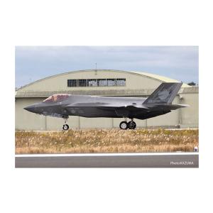 プラッツ 1/144 航空自衛隊 F-35A ライトニングII 第301飛行隊 創設 50周年記念塗装機 2機セット プラモデル PF-81 （ZS128103）｜でじたみん Yahoo!店