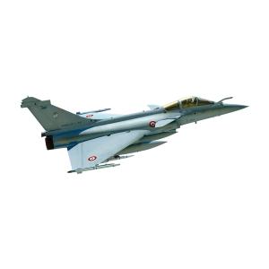 ハセガワ 02400 1/72 Su-33 フランカーD アパキゼ少将追悼記念機
