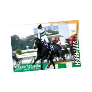 サラブレッドホースコレクション ツインウエハース 第3R 食玩 バンダイ (1BOX) （ZT157239）