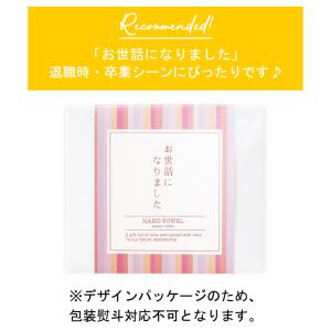 退職 お世話になりました プチギフト今治ミニハ...の詳細画像1