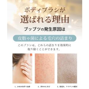 ボディブラシ 背中 ボディーブラシ 背中 3w...の詳細画像3